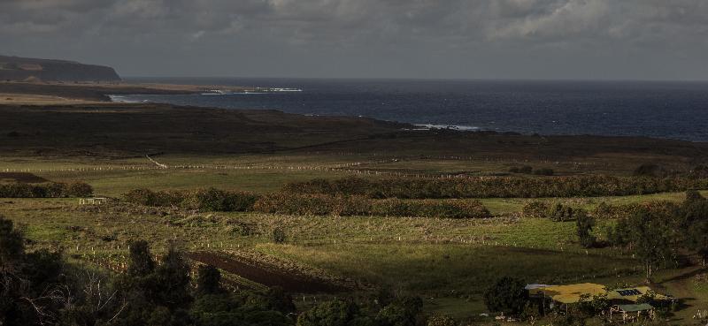 Отель Casa Rapanui Ханга-Роа Экстерьер фото